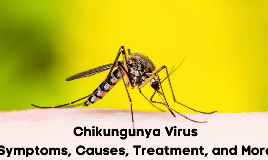 WHO Voices Alarm Over Rising Spread of Mosquito-Borne Chikungunya Virus