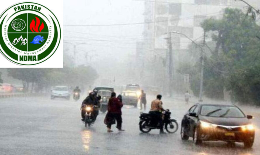 NDMA Issues Advisory on Disease Risks from Mosquitoes, Insects During Monsoon
