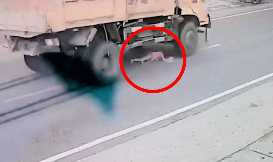Truck Fatally Runs Over Motorcyclist in Nowshera
