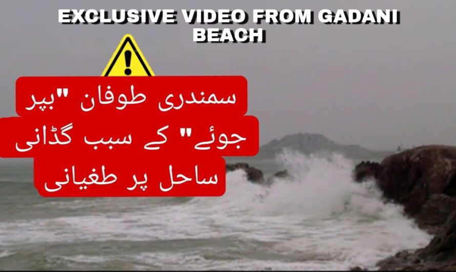 Pink Tide at Gadani Jetty Sparks Environmental Concerns