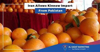 Pakistan Seeks to Globalize Kinnow, Expands Support for Local Growers
